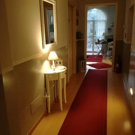 アフィッタカメレ ドルシラ 4*
