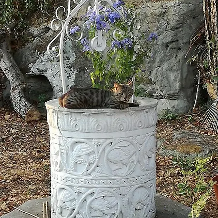 Drusilla بيت ضيافة