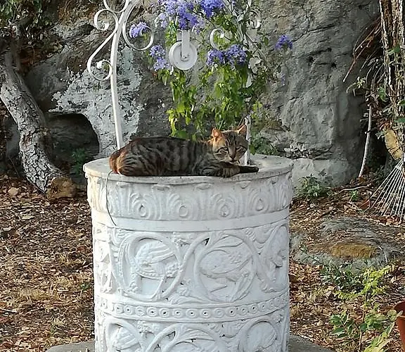 Drusilla Πανσιόν